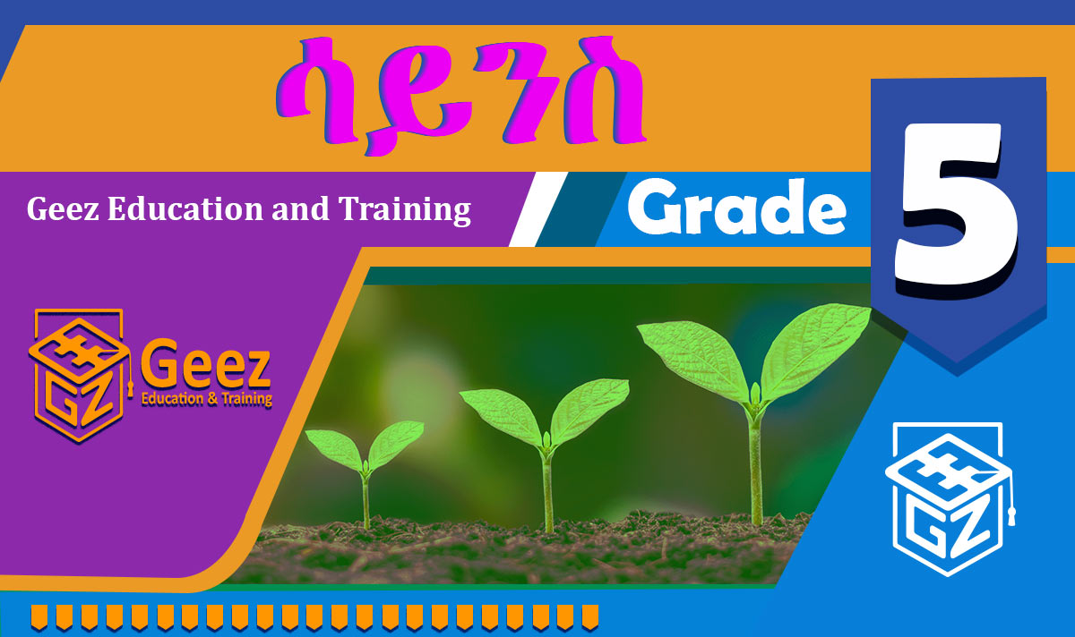 ጥሙር ሳይንስ