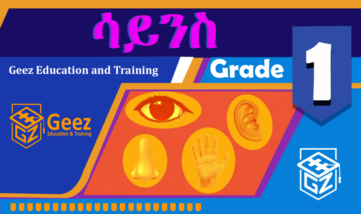 ከባብያዊ ሳይነስ